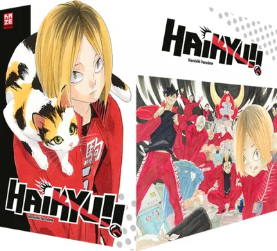 Obrázok produktu pre Haikyu!! Sammelbox 3 - Band 21-30 im Schuber
