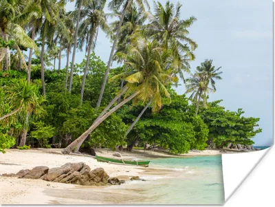 Produktbild von MuchoWow® Poster Palmen - Strand - Sommer - Tropisch 120x90 cm - Wandbild