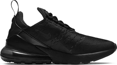 Image de Nike Wmns Air Max 270 AH6789-006