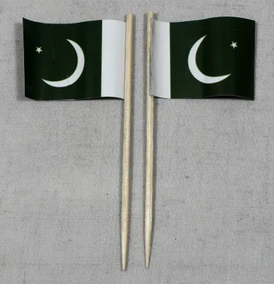 Produktbild von Party-Picker Flagge Pakistan Papierfähnchen in Spitzenqualität 25 Stück Beutel