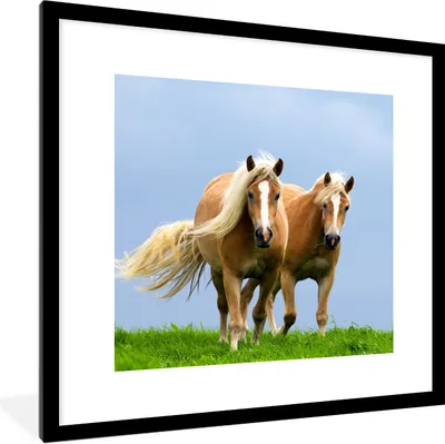 Produktbild von MuchoWow® Gerahmtes Poster Pferde - Gras - Luft 40x40 cm - Poster mit Schwarzem Bilderrahmen Wandposter Rahmen Foto Bilder - Poster - Plakat im Rahmen