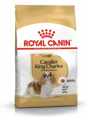 Zdjęcie produktu dla Royal Canin Cavalier King Charles Adult, Dorosły, Cavalier King Charles Spaniel, 1,5 kg
