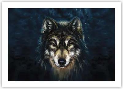 Produktbild von Poster - Poster ohne Rahmen - Wolf Dunkel Grafik - 70x50 cm - Wand Bild - Wanddeko - Wandbilder - Kunstposter - Wandposter - Bilder - Kunstdruck - Wanddekoration - Wandbild - P2XAA70x50-4845