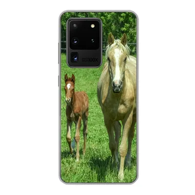 Produktbild von MuchoWow® Handyhülle Schutzhülle Hülle für Samsung Galaxy S20 Ultra Pferd - Fohlen - Tiere Silikon Softcase Handy Hülle - Karteninhaber