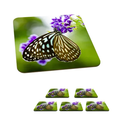 Obrázok produktu pre MuchoWow® Sklenený podtácek Štvorcová sada 6 kusov Levanduľa - Motýľ - Botanické 10x10x0.3cm Podložky pod poháre - podložky pod nápoje - ochrana