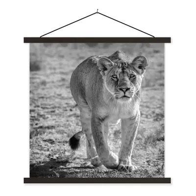 Produktbild von MuchoWow® Textilposter Löwe - Schwarz - Weiß 90x90 cm mit schwarzem Rahmen - Magnetisches