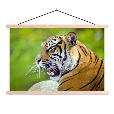 Produktbild von MuchoWow® Textilposter Tiger - Natur - Kopf 60x40 cm mit holzfarbenen Rahmen - Bilder
