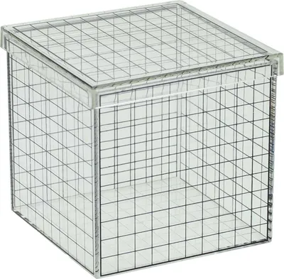Produktbild von Transparenter 3D-Gitterwürfel – 10 x 10 x 10 cm