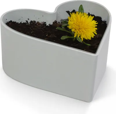 Image de Coeur Jardinière d'extérieur Vintage Jardinière décorative grise 15 cm