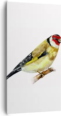 Produktbild von Bild auf Leinwand - Leinwandbild - Einteilig - Stieglitz Vogel Aquarell - 65x120cm - Wand Bild - Wanddeko - Wandbilder - Leinwanddruck - Bilder - Wanddekoration - Leinwand bilder - PA65x120-4179
