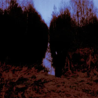 Produktbild von My Arms Your Hearse