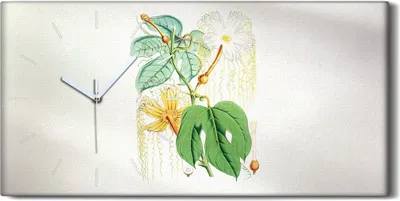 Produktbild von Küchenuhr Bürouhr Leinwand Uhr Geräuschlos 60x30 Gemälde Abstrakte Kunst Blumen - weiße Hände
