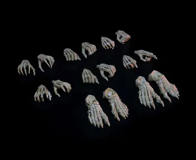 Immagine prodotto di Akcesoria do Figurki Mythic Legions: Necronominus - Zestaw Szkieletów Rąk/Nóg