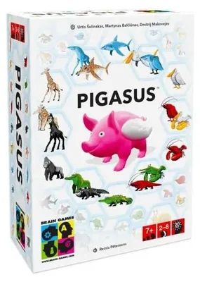 Zdjęcie produktu dla Pigasus BRAIN GAMES