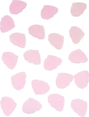 Produktbild von Konfetti Rosenblätter Papier Rosa 50 g - Einheitsgröße