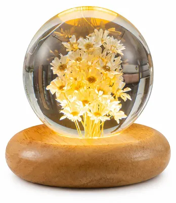 Produktbild von Blumenlampe aus Glas, dekorative Gänseblümchen Kugel mit LED Holzsockel, stimmungsvolle Tischlampe für Schlafzimmer, Wohnzimmer und Büro