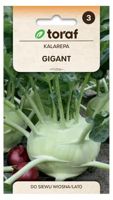 Obrázok produktu pre Kalarepa GIGANT 1 g