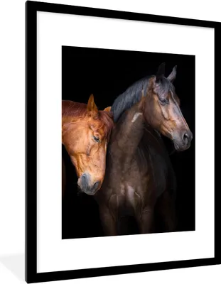 Produktbild von MuchoWow® Gerahmtes Poster Pferde - Tiere - Porträt - Braun 60x80 cm - Poster mit Schwarzem Bilderrahmen Wandposter Rahmen Foto Bilder - Wohnzimmer - Dekorationen - Prämie