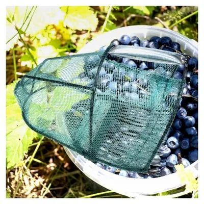 Produktbild von Tragbarer Blaubeerpflücker mit Stahlzähnen für die Obsternte