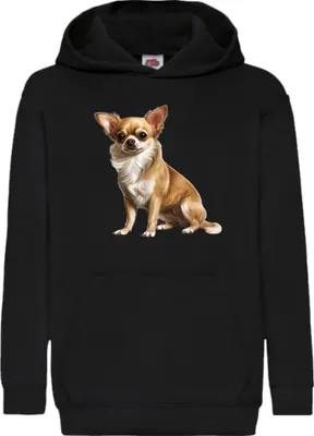 Zdjęcie produktu dla Dziecięca Bluza Z Kapturem Dogs Breeds Chihuahua Dog Breed 006, 12-13 Jahr - 152 / Czarny
