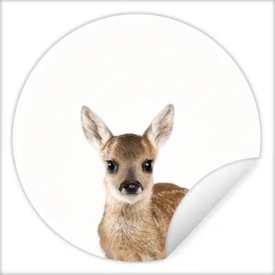 Produktbild von MuchoWow® Runde Wandtattoo - Wandsticker Tapete Aufkleber Tiere - Hirsche - Mädchen - Waldtiere Ø 100 cm Selbstklebend und Repositionierbar - Wandaufkleber - Kreis - Tapetenkreis - Wandbild rund - Schlafzimmerdekoration - Wanddeko - runde Tapete - Kunst für zu Hause