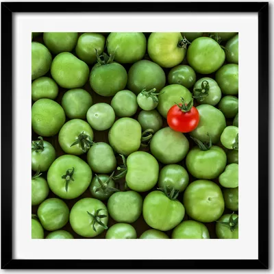 Produktbild von Bild - 50 cm x 50 cm - MDF - Rahmen, Wandkunst - Reife Tomate