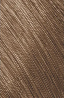 Produktbild von Goldwell Goldwell Topchic Haarfarbe 8B seesand