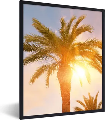 Produktbild von MuchoWow® Gerahmtes Poster Palme - Sommer - Sonne - Tropisch 60x80 cm - Poster mit Schwarzem Bilderrahmen Wandposter Rahmen Foto Bilder - Premium - Wanddeko Wohnzimmer