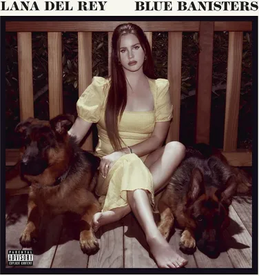 Produktbild von Lana Del Rey - Blue Banisters (2 LP)