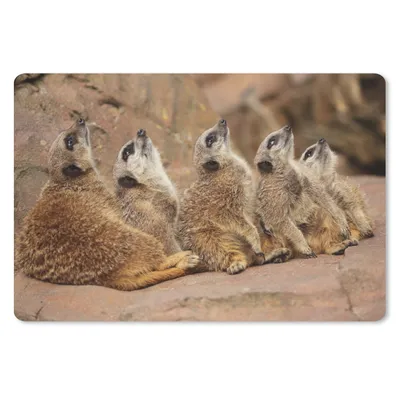 Produktbild von MuchoWow® Mauspad Mousepad Erdmännchen - Felsen - Natur 27x18 cm - Mousepads - Maus Mat - Pad - Mausunterlage - Büroartikel - Desk Matten