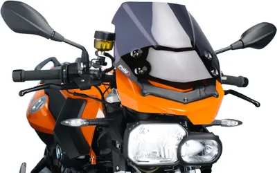 Obrázek produktu pro PUIG naked sport screen smoked clear ABE homologováno pro Bmw r f 800