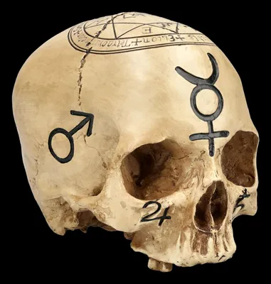 Produktbild von Totenkopf Witchcraft Skull - Magischer Schädel / Hexerei
