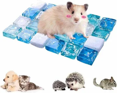 Produktbild von Famanu Kühlplatte für Kleintiere - Ideal für Sommermonate