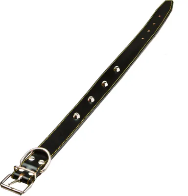 Immagine prodotto di collare per cani foderato con borchie 25x510 mm