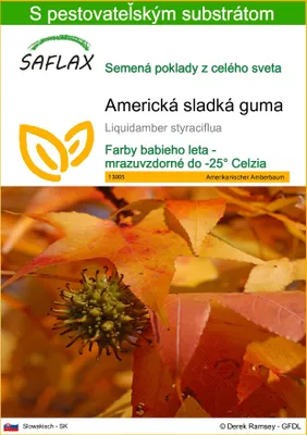 Obrázok produktu pre SAFLAX - Americká sladká guma - Liquidamber styraciflua - 100 Semená - S pestovateľským substrátom bez klíčkov