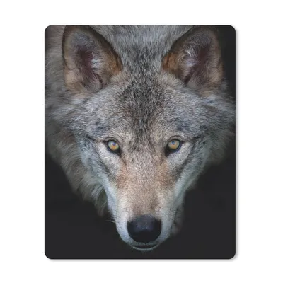 Produktbild von MuchoWow® Mauspad Mousepad Wolf - Porträt - Schwarz 30x40 cm - Mousepads - Maus Mat - Pad - Mausunterlage - Mausmatten