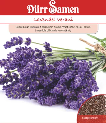 Produktbild von Lavendel Verani | Lavendelsamen von Dürr Samen
