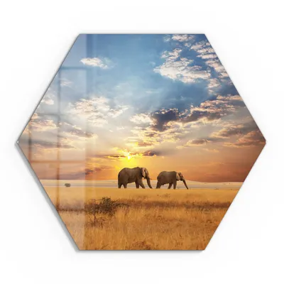Produktbild von DEQORI Glasbild Echtglas 40x35 cm 'Elefanten in der Steppe' Wandbild Bild modern Deko