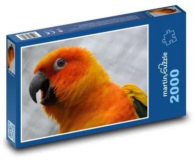 Produktbild von Puzzle 2000 Leuchtender orange Papagei - martinpuzzle