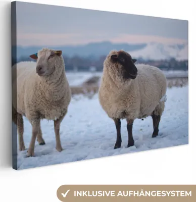 Produktbild von OneMillionCanvasses® - Leinwandbilder - 150x100 cm, Schaf - Schnee - Berg, Wandbilder Kunstdruck Wanddekoration