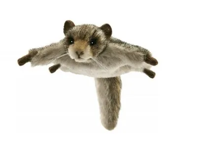 Produktbild von Hansa Toy 4116 Flughörnchen 22 cm Kuscheltier Plüschtier