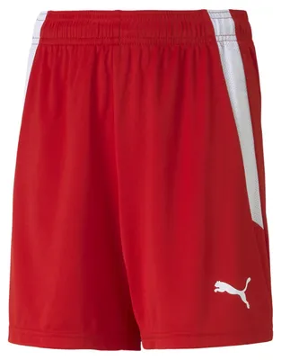 Image de Pantalon Puma Teamliga 70493101