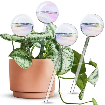 Produktbild von Selbstbewässerungssystem für Pflanzen – 4 Stück Glasstiele in Regenbogenfarben