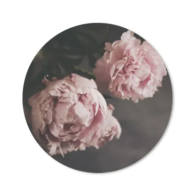 Produktbild von MuchoWow® Mauspad Mousepad Blumen - Rosa - Pfingstrose - Stilleben 50x50 cm - Mousepads - Maus Mat - Pad - Mausunterlage - Vinyl