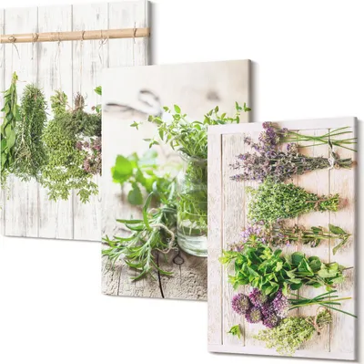 Produktbild von Leinwandbilder – Wandbilder – Leinwandbild – Canvas Bild – Polycanvas – Kunstdruck –  – Modern – Aufhängefertig – Mehrteilig – 3-Teilig – 20x30 Cm Pro Bild - Trocknen von Kräutern und Pflanzen für die Küche