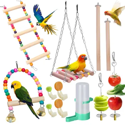Image de 12 jouets en bois pour agapornes