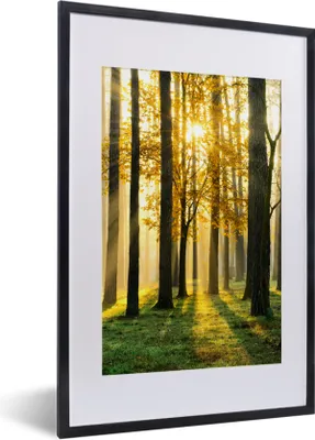 Produktbild von MuchoWow® Gerahmtes Poster Wald - Sonne - Bäume - Gras - Landschaft - Natur 40x60 cm - Poster mit Schwarzem Bilderrahmen Wandposter Rahmen Foto Bilder - Poster in Rahmen