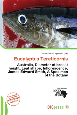 Produktbild von Eucalyptus Tereticornis