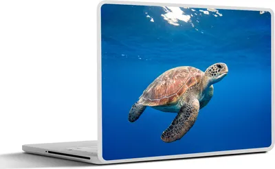 Produktbild von MuchoWow® Laptop Aufkleber Sticker Cover Schildkröte im Ozean 40x30 cm - Laptop Dekoration - Selbstklebend