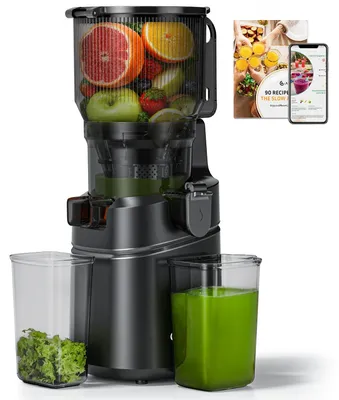 Slow Juicer 165 mm XL-Einfüllöffnung 2,5 l 250 W Kaltpresse